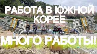 Работа в южной Корее! ОГРОМНЫЕ ДЕНЬГИ!!! МНОГО РАБОТЫ! #korea #money