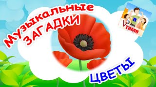 ЦВЕТЫ. Музыкальные загадки для детей. Папа V теме