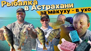 Рыбалка в Астрахани: макуха СнастиЗдрасьте,пеллетс из саранчи,тухлая рыба!АааставайтесьвАаастрахани!