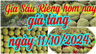 giá sầu riêng hôm nay ngày 11/10/2024