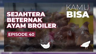 KAMU BISA "Sejahtera Beternak Ayam Broiler" - Episode 40