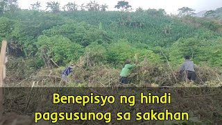 Pagtigil sa slash and burn farming practice