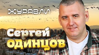 Сергей Одинцов - Журавли