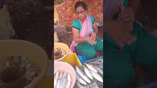 कोकणातील पाली गावात आलो मासे आणायला|pali gava fish stall |ratanagiri|bangada,papalet,shipalya