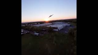 Chasing Wings w/ the DJI Avata 2