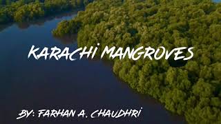 Karachi Mangroves