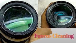 Canon 70-200mm Lens Funcus Cleaning || Lens Cleaning and Solved