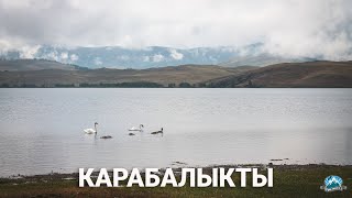 Озеро Карабалыкты: лебеди, яшма и очень древняя стоянка человека | Ураловед