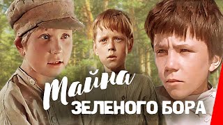 Тайна зеленого бора (1960) фильм