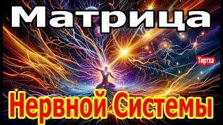 С 1 Минуты Начнется Мощное Исцеление Нервной Системы Матрица Гаряева