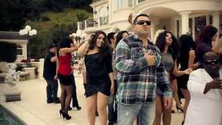 Tigran Asatryan - Sirem Sirem (Dj Vartan Remix)  New 2011 Hit Song - (Official Video)