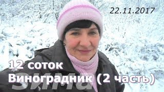 12 соток _Виноградник (2 часть)