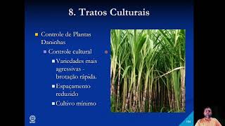 AULA 4 UNIDADE 1   NUTRIÇÃO, PRAGAS, DOENÇAS E COLHEITA DA CANA DE AÇÚCAR - PROF. ROGÉRIO COIMBRA