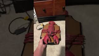 Lucky the singing lobster