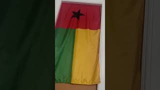 Guiné-Bissau 🇬🇼 🚨 #portugal #guinebissau #afrique #viralvideo #shorts