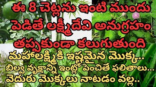 ఈ 8 చెట్లను ఇంటి ముందు పెడితే లక్ష్మీదేవి అనుగ్రహం తప్పకుండా కలుగుతుంది|dharmasandehalu|talapatranid