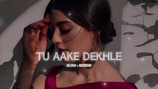 TU AAKE DEKH LE (SLOWED AND REVERB) #musicxemotions #song