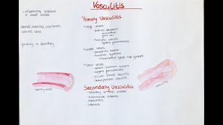 vasculitis - definition, classification, overview