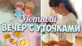 УЮТНЫЙ ВЕЧЕР С УТОЧКАМИ☕️🍪