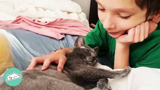 Boy Couldn't Make Friends Until He Met This Cat | Cuddle Buddies