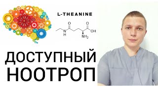 L- Теанин l Натуральный ноотроп l Память и Работоспособность l L-Theanine - Nootropic Effects