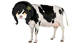 Are you a cow!?🤨🐄