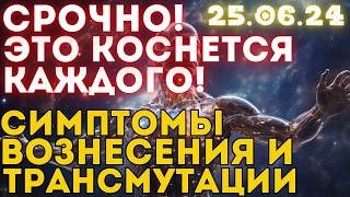 КВАНТОВЫЙ ПЕРЕХОД В ФИЗИЧЕСКОМ ТЕЛЕ | СИМПТОМЫ КВАНТОВОГО ПЕРЕХОДА, ТРАНСМУТАЦИИ И ВОЗНЕСЕНИЯ