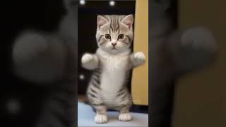 cat dance funny storys #cat #dancingcat #catdance #kucingjoget #catvideos