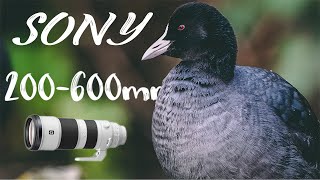 My First Wildlife Vlog - Cringe!