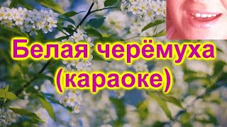 КАРАОКЕ -  АХ ЧЕРЁМУХА БЕЛАЯ - КАРАОКЕ ПОЁМ ВМЕСТЕ - КАРАОКЕ ПЕСНЯ ДЛЯ КОМПАНИИ