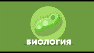 5 класс биология урок 1 Биология – наука о живых организмах