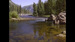 Легкий способ нарисовать прозрачную воду и блики|как нарисовать камни под водой легко #живопись