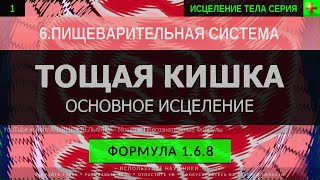 1.6.8 🎧 Здоровье Тощей Кишки, Тонкая Кишка ГЛУБОКОЕ ИСЦЕЛЕНИЕ (резонансный саблиминал)