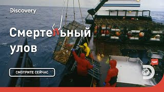 Все или ничего! | Смертельный улов | Discovery