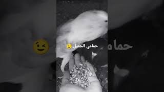 من حمامي المتواضع تبارك الله ❤️