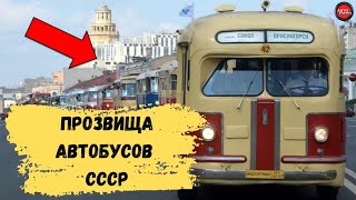 ЗАБАВНЫЕ ПРОЗВИЩА СОВЕТСКИХ АВТОБУСОВ.