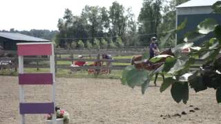 Kyra horse show pleasure class part 1