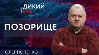 Высшая степень тупизны. Олег Попенко. Дикий LIVE.