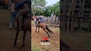 Cavalo tá querendo... #cavalo #vaqueiro #nordeste