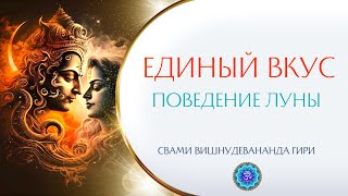 Единый вкус всех явлений - великая равностность. Поведение луны