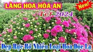 Làng Hoa Hòa An Tết 2024 Đẹp Rực Rỡ Nhiều Loài Hoa Độc Lạ Mừng Xuân Giáp Thìn 2024