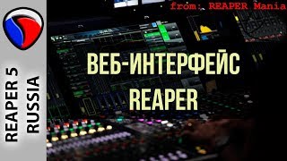 Веб-интерфейс - Полезные приемы в REAPER