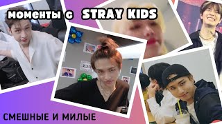 смешные и милые моменты с  STRAY KIDS  (стрей кидс) 1часть 💗