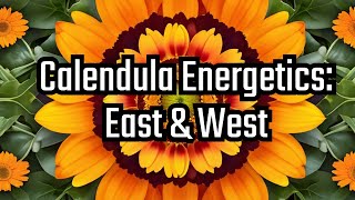 Calendula Energetics: Expert Herbalist Insights