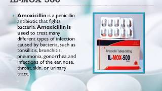 AMOXY GROUP