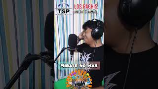 Los Pachis - Mírate Nomas #huasteca #mexico #lomasnuevo #viral