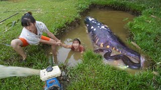 Top Fishing Video Use a large capacity pump Sucks water Catch fish in the wild lake, big snakes