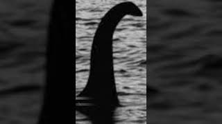 Could Nessie be real? ☠️ #shorts