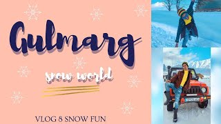 GULMARG AND GANDOLAZZ FUN ! KASHMIR VLOG 8| VINAY PANEKAR | GROWN UP SON