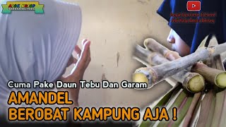 AMANDEL, BEROBAT KAMPUNG AJA | Atok Kulop SEKAPOT ancop